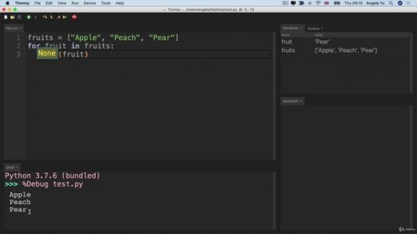 Day 5 - Python Loops - 2 Using the for loop with Python Lists