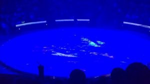 Кабы я была царица Большой Московский Цирк 2020