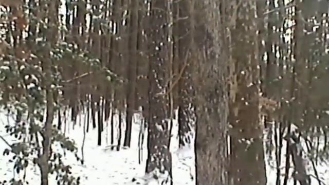 video test sony handycam ccd-trv 43 NTSC snow edition!!! смотреть онлайн