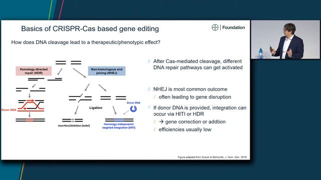 Introduction to gene editing and applications in human health and crop science by Florian Richter смотреть онлайн