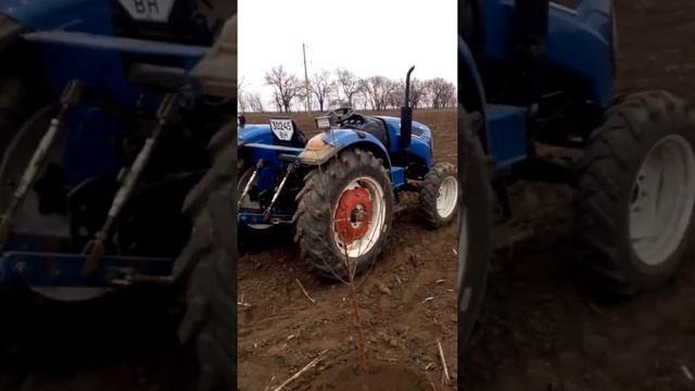 Первый полив саженцев после посадки! смотреть онлайн