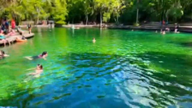 ? Проверка связи ? поговорили с СЭМОМ американский жених - кочевник Van Life Florida USA смотреть онлайн