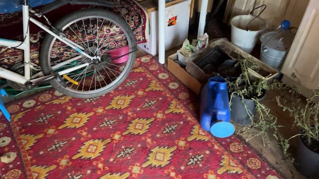 Где укрыться от дождя | Мыр отдыхает от гулянок смотреть онлайн