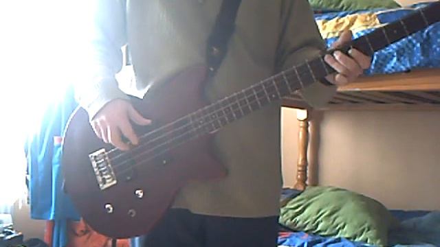 PInk - Who Knew Bass Cover смотреть онлайн