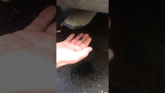 Течка смотреть онлайн