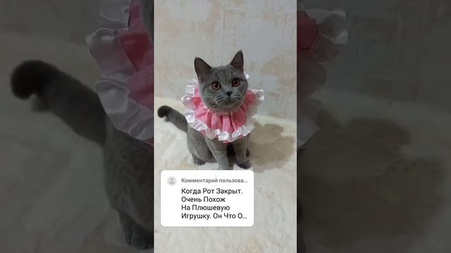 Мы просто перед съемкой ее в холодильник сажаем, когда достаём - она поёт? и так уже год? смотреть онлайн