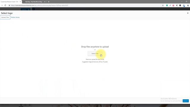 How to add Site Logo, Title and Tagline? | Blossom Travel WordPress Theme смотреть онлайн