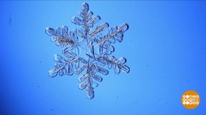 Одна снежинка - еще не снег... Доброе утро. Фрагмент выпуска от 04.01.2021