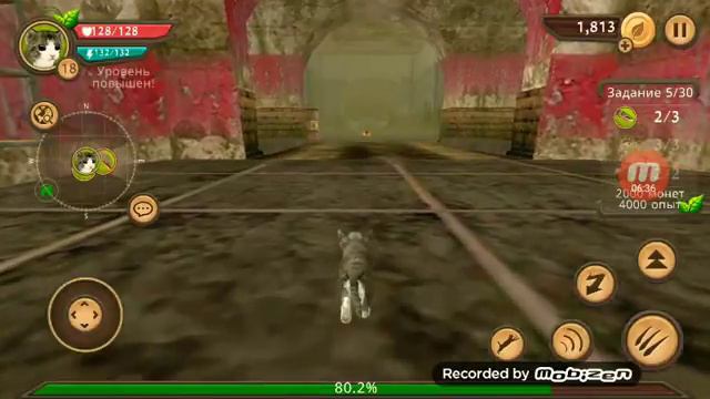 Kat Sim путешествием