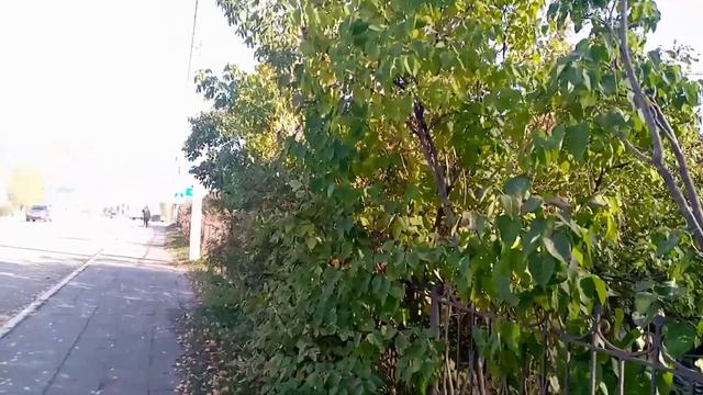 Люди ,молитесь Богу за своих родных каждый день по много раз смотреть онлайн