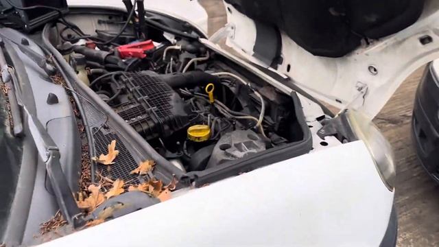 Разборка Renault - Kangoo 1998-2008, 1.5 (VIN: VF1FC07AF32115163) FV54JJX смотреть онлайн