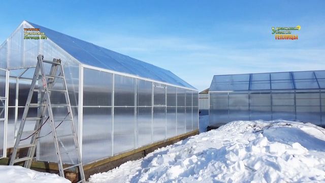 ТЕПЛИЦА «УРАЛЬСКАЯ ЛЕГЕНДА №1» ТЕПЛИЦА ДЛЯ ЦЕНИТЕЛЕЙ ВЫРАЩИВАНИЯ ОВОЩЕЙ В ЗАКРЫТОМ ГРУНТЕ. смотреть онлайн