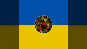 ой у лузі червона калина Remix