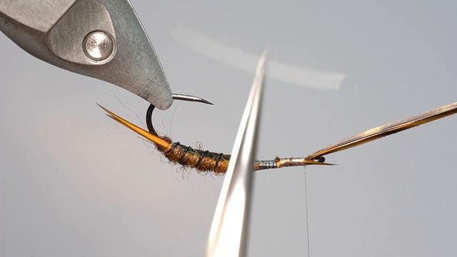 Stonefly nymph / Нимфа веснянки смотреть онлайн