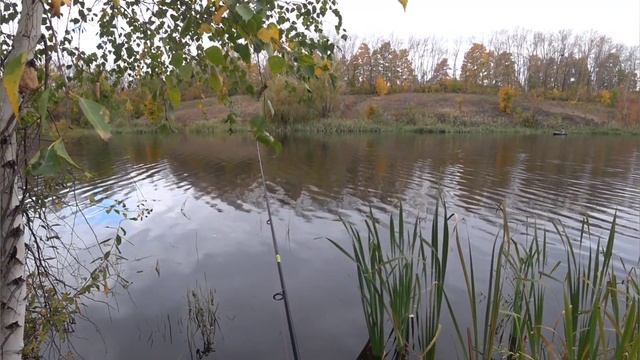 ТАМБОВСКИЙ РУЧЕЙ С ЩУКОЙ. смотреть онлайн