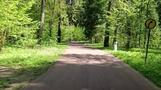 Мещерский парк. Лесная чайная.2023г. смотреть онлайн
