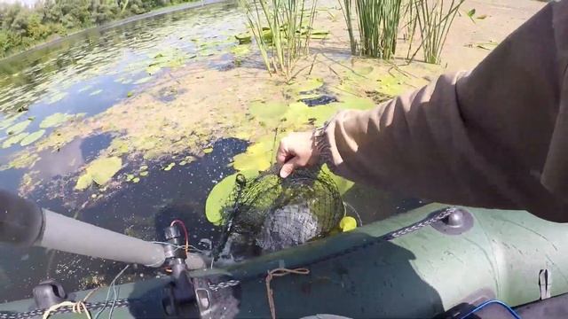 ?ВОТ ЭТО ЛАПТИ!!! Рыбалка на удочку (поплавок) / Уха с карася?