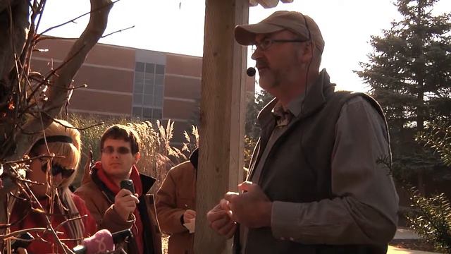 Hydrangea Anomala Subsp. Petiolaris (Climbing Hydrangea)