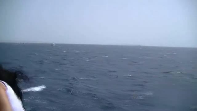 Египет Хургада #11 2015 отправляемся в море на яхте смотреть онлайн
