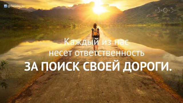 Каждый из нас несет ответственность смотреть онлайн