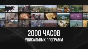 Каталог контента «Первого ТВЧ»