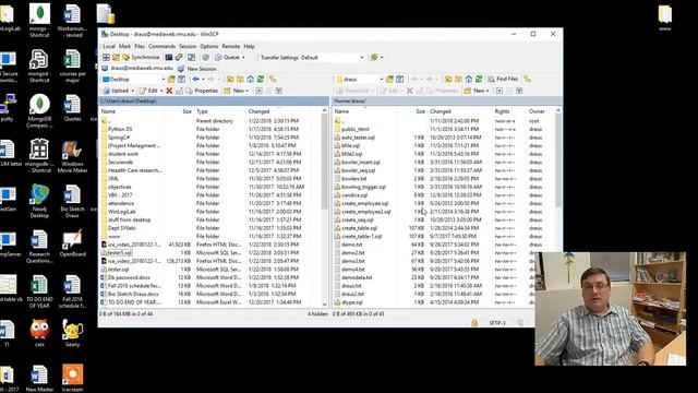 winscp and executing sql batch files смотреть онлайн