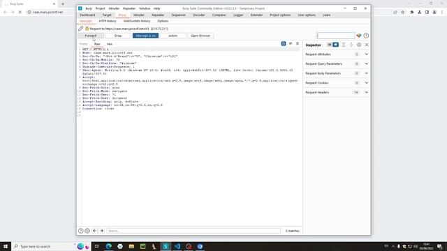 CaaS PicoCTF | Web Exploitation | Beginner Command Injection смотреть онлайн