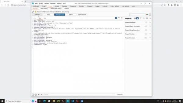 CaaS PicoCTF | Web Exploitation | Beginner Command Injection