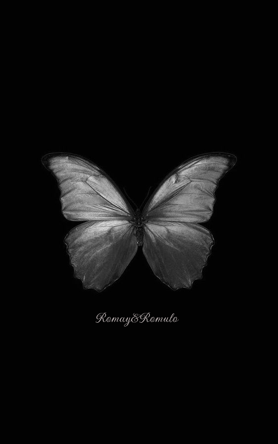 Romay&Romulo Opus XIII