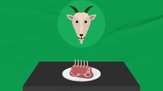 Halal And Haram Animals In Islam