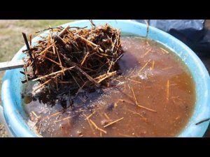 Этот навоз не хуже коровьего но в 3 раза дешевле! На нем отменные урожаи. Свиной навоз для огорода.