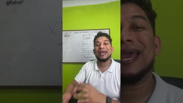 Cómo se conecta el car audio / orden de instalación