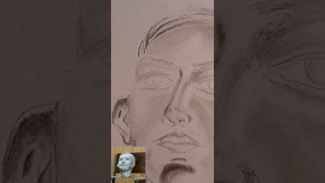 head study sketch using charcoal #bust sketch work using charcoal смотреть онлайн