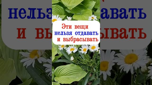 Эти вещи нельзя отдавать и выбрасывать смотреть онлайн