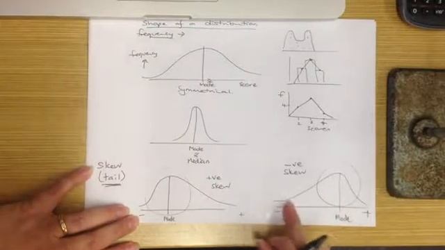 The Shape of a Distribution смотреть онлайн