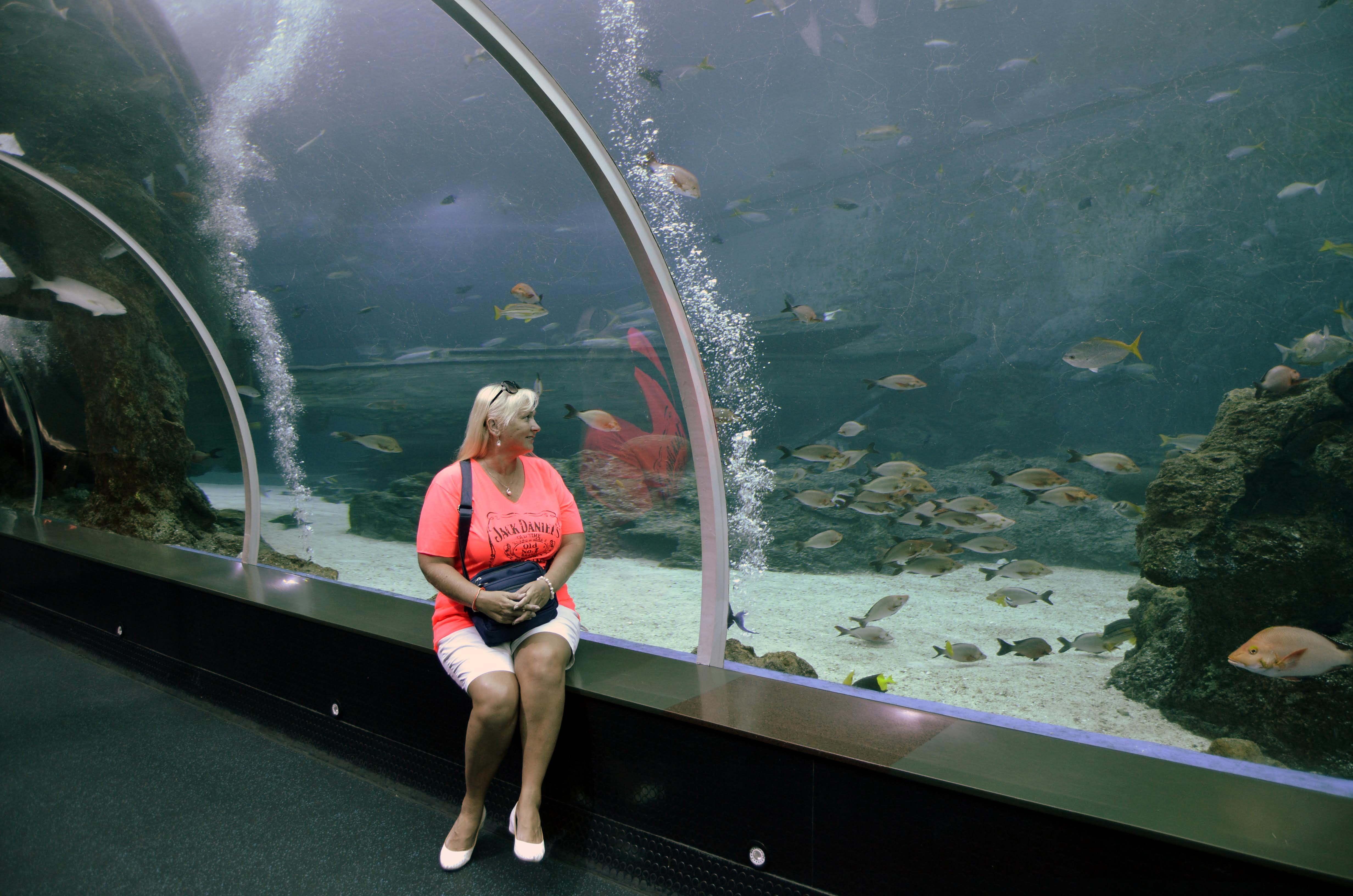 Singapore, океанариум на Сентозе