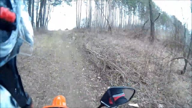 Поездка по лесу на CX200 Minsk смотреть онлайн