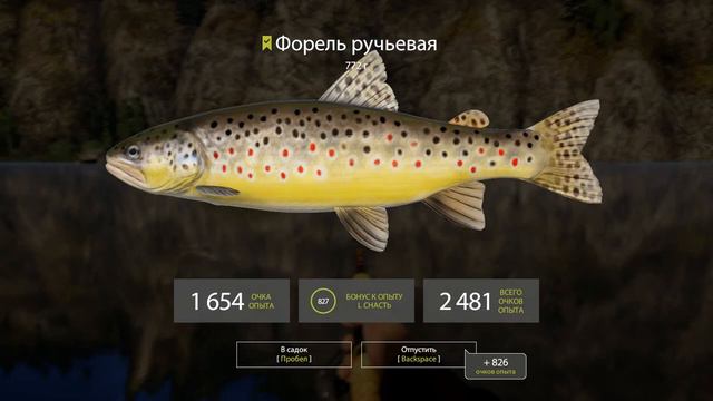 Русская Рыбалка 4 - река Белая форель и хариус... Даже трофейный смотреть онлайн