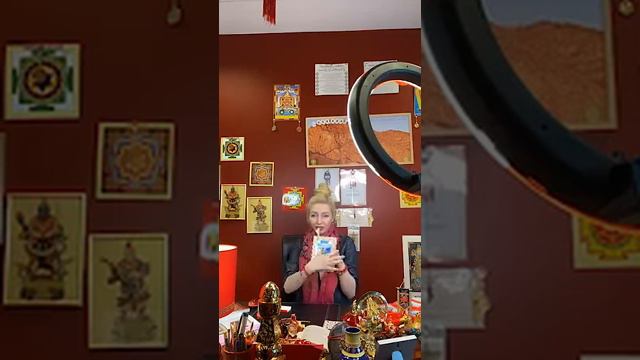 Сектор любви и брака! часть 4 смотреть онлайн