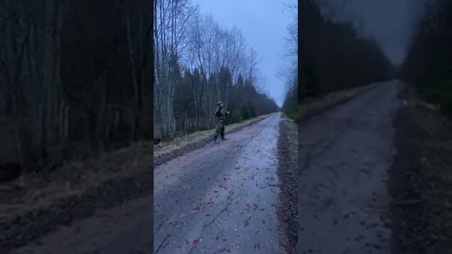 Охота на Вальдшнеп // Охота на птиц смотреть онлайн