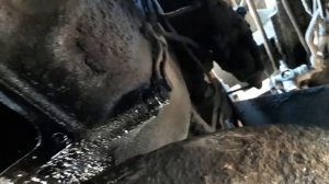 Как подключить делитель на Камазе напрямую и стоит ли?!