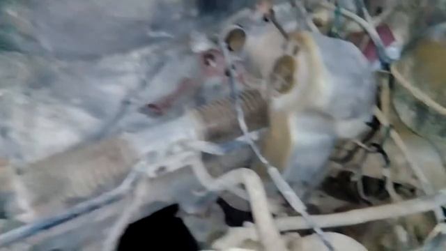 разборка опель кадет дизель 1.6 смотреть онлайн