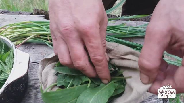 Công thức nấu canh Urtica. Sơn hạ huyền thoại Tây không có văn hóa ăn rau смотреть онлайн