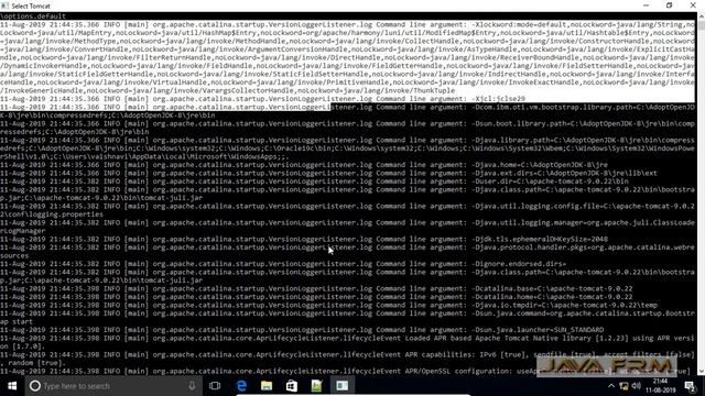 Tomcat 9 Installation using AdoptOpenJDK 8 and AdoptOpenJDK 11 LTS on Windows 10 смотреть онлайн