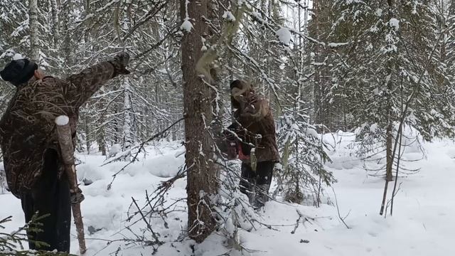 Заготовка дров. Т 40 АМ. смотреть онлайн