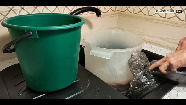 Как правильно СОЛИТЬ и СУШИТЬ чехонь в домашних условиях смотреть онлайн