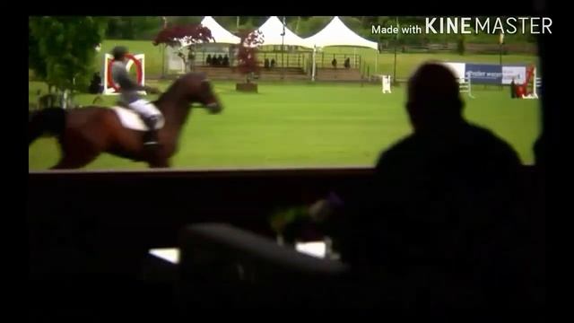 Конный спорт | Equestrian Sport | Faded |