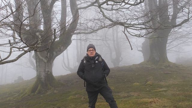 Yo y mi cámara... Cargando las pilas en el Bosque смотреть онлайн