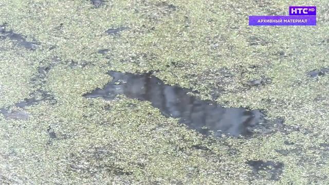 Дайджест на 24.08.2023 смотреть онлайн