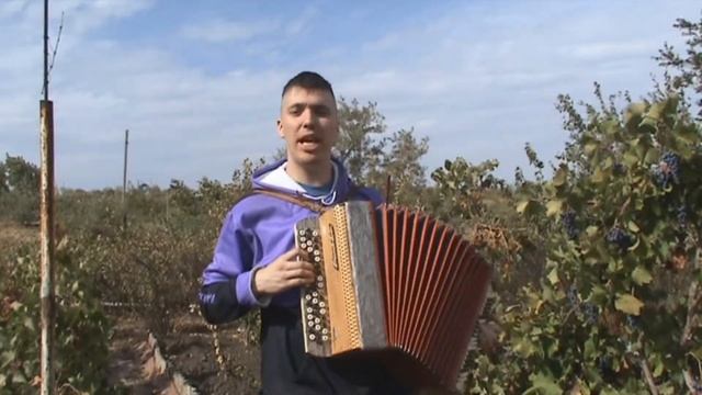 Снится мне деревня. Песня под баян смотреть онлайн